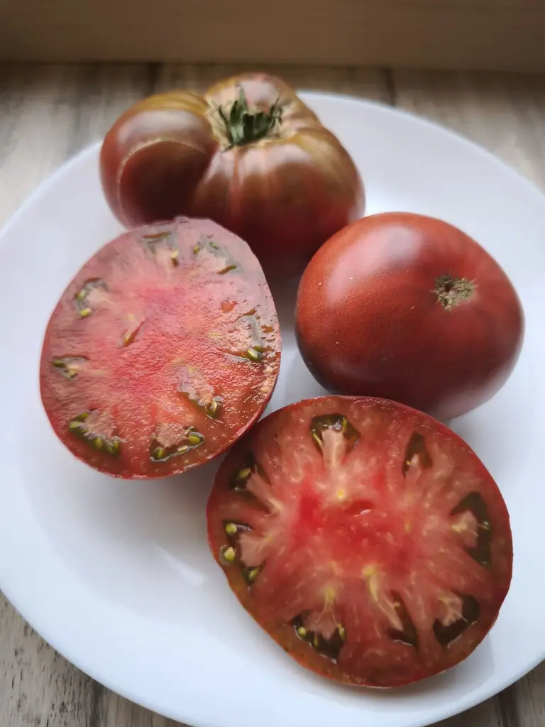 Charbonnière du Berry