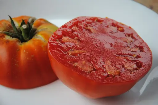 Château de Chartres