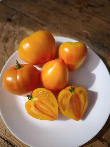 Cœur de bœuf orange